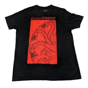Game of Thrones Targaryen Panel Banner Men's Black T-Shirt Size M Excellent